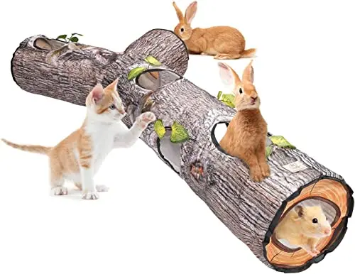 Tunnel de Chat 