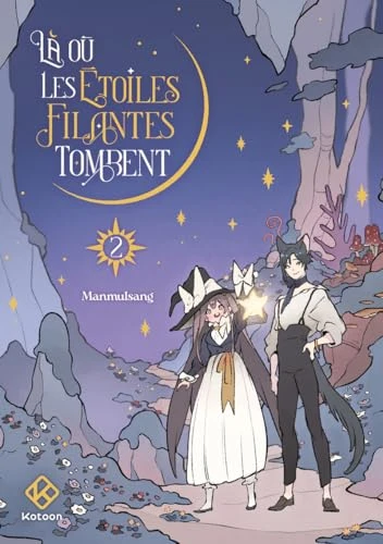 Là où les étoiles filantes tombent - tome 2