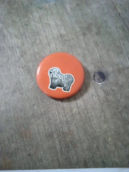 Pins Chien