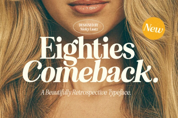Eighties Comeback Serif (70 fonts), a Serif Font by Nicky Laatz