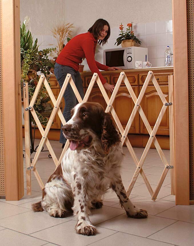 Barrière extensible bois - Fermeture accordéon: Amazon.fr: Bricolage