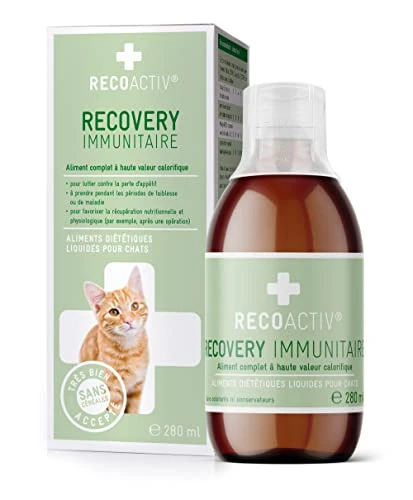 RECOACTIV Recovery Immunitaire pour Chats, 1 x 280 ML, Alimentation diététique complète hautement calorique en Cas de dénutrition et de Convalescence Ainsi pour la Prise de Poids