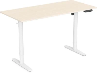 Bureau gamer SKILLKORP D15M motorisé ergonomique Progress