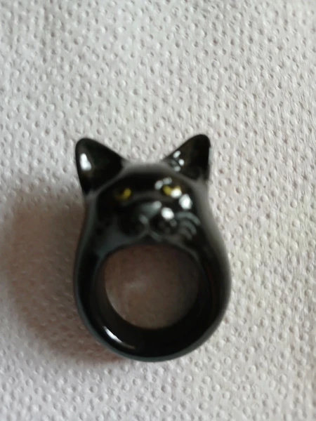 Nach chat noir