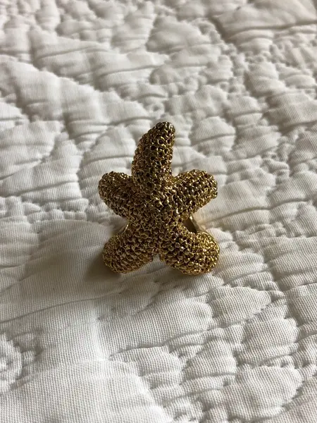 Anillo dorado estrella Bimba y Lola