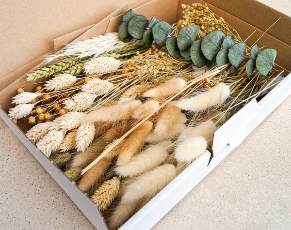 Dried flowers DIY mix flower box natural eucalyptus for creative projects - DekoPanda