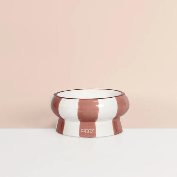 Gamelle pour chat - Cool Cat Club