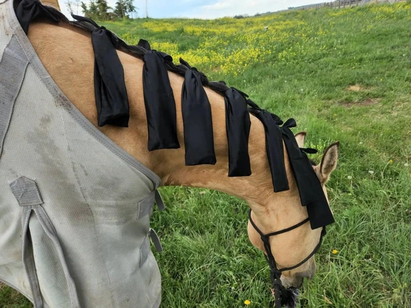 Lot de 6 sacs pour crinière en lycra - Protection extensible et durable pour crinière de cheval - Empêche les enchevêtrements et la casse - Sacs à crinière ranch