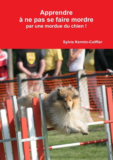 Apprendre à ne pas se faire mordre par une mordue du chien !