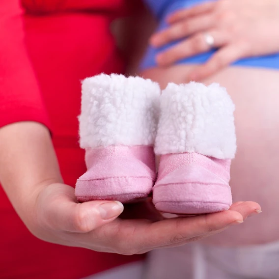 Oferta del mes | Ecodadys
