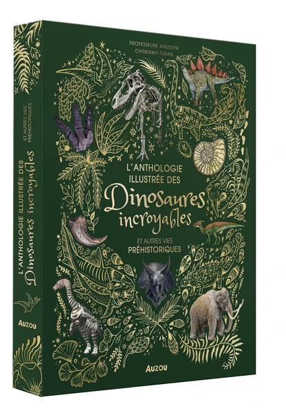 L'anthologie illustrée des dinosaures incroyables et autres vies préhistoriques - Livres enfants - Auzou