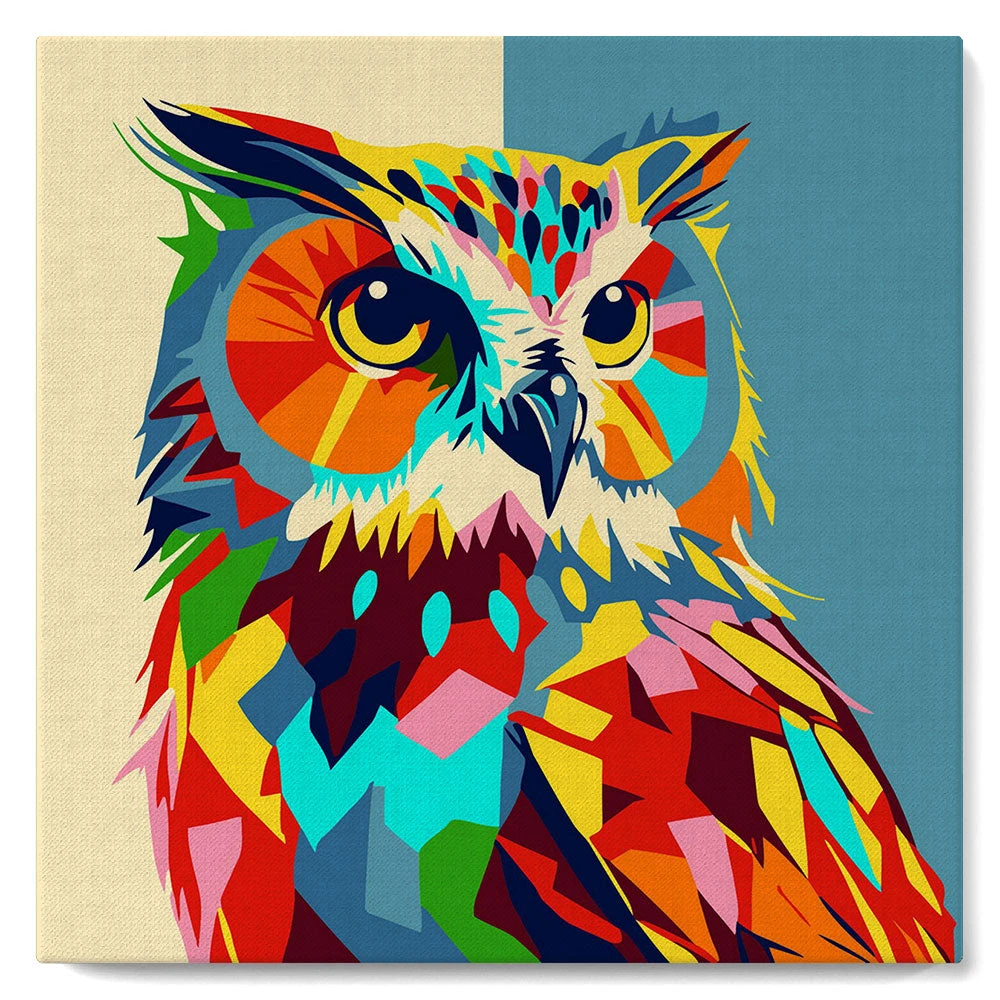Mini Peinture par Numéros 20x20cm avec cadre Hibou Abstrait Pop Art