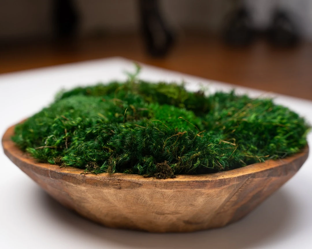MyGroundingLiving | Round Moss Dough Bowl - Centerpiece Table Decor