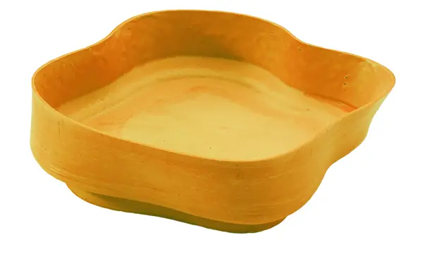 La Coupelle / Mangue