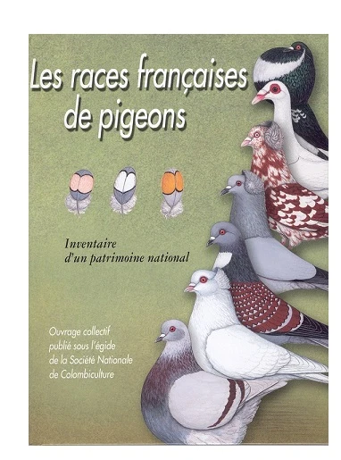 Les races françaises de pigeons - Société Nationale de Colombiculture