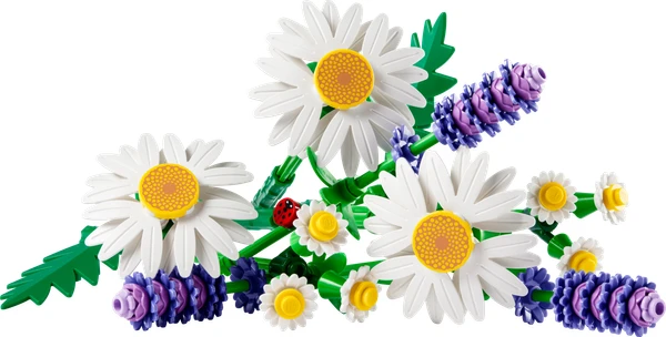 Marguerites