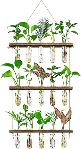 Grovind vase en verre à 3 niveaux Terrarium mural pour plantes avec support en bois, jardinière rétro en verre Tube à essai pour plantes hydroponiques Vases à fleurs Décoration maison, bureau et patio