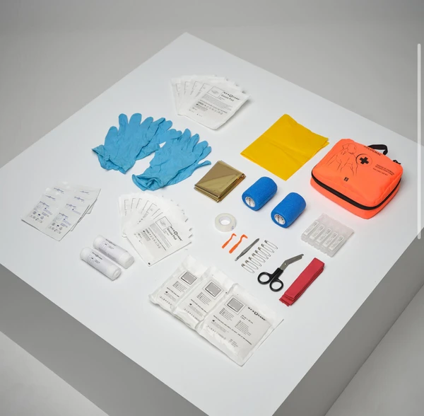 Trousse de premiers secours pour chien 