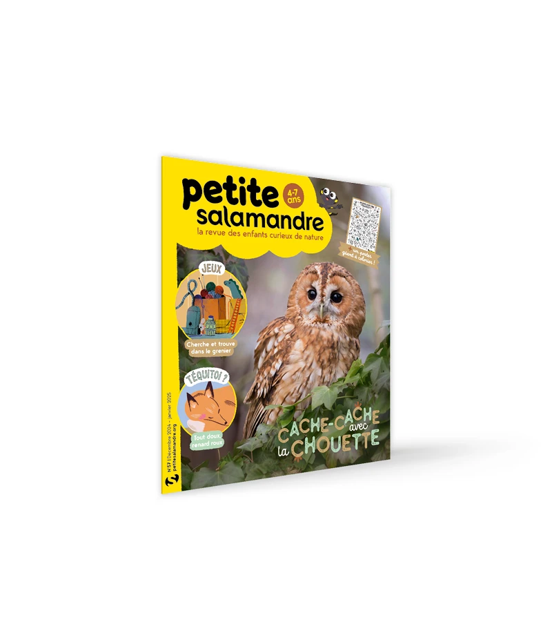 Abonnements Petite Salamandre (4-7 ans) > Boutique - Salamandre