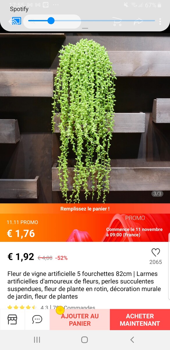 Aliexpress _ plante pour dehors - qte 1