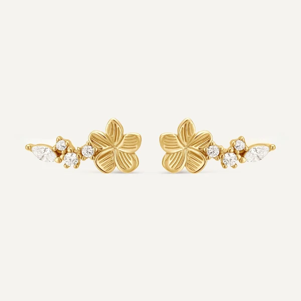 Boucles d'oreilles grimpantes Suzanne