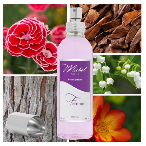 "F55 Chyprée Florale", alternative à "Burberry Body®" - Michel Parfums