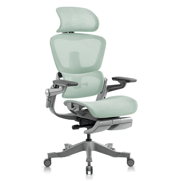 H1 Pro Ergonomic Office Chair with 3D Lumbar Support | Hinomi