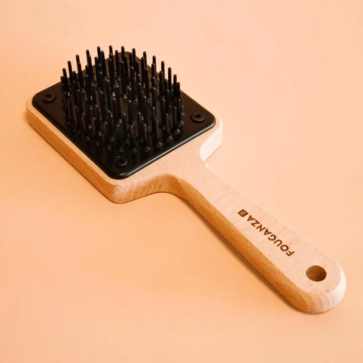 Brosse à crin en bois.