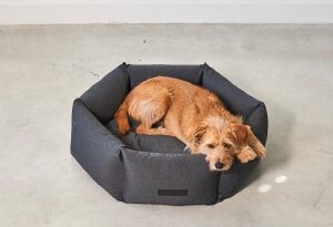 Felice Dog Bed Hexagon Cover / MiaCara