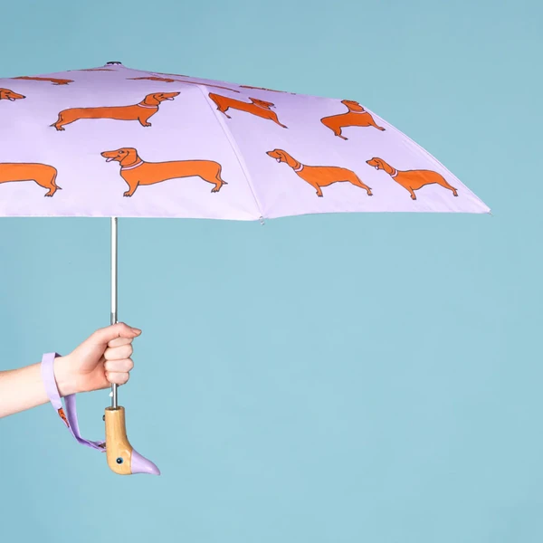 Parapluie Teckel