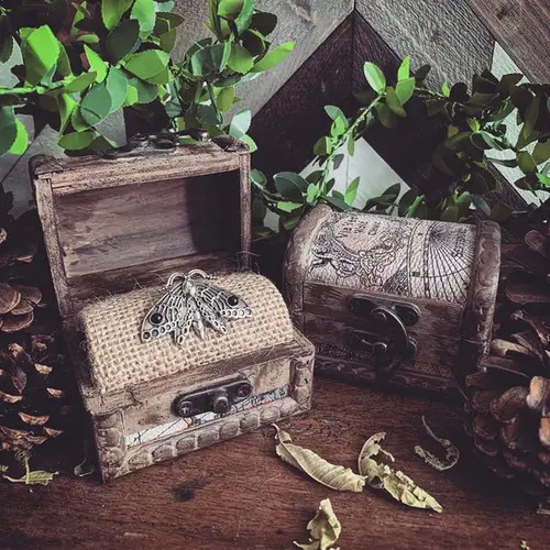 Bague papillon lune noire