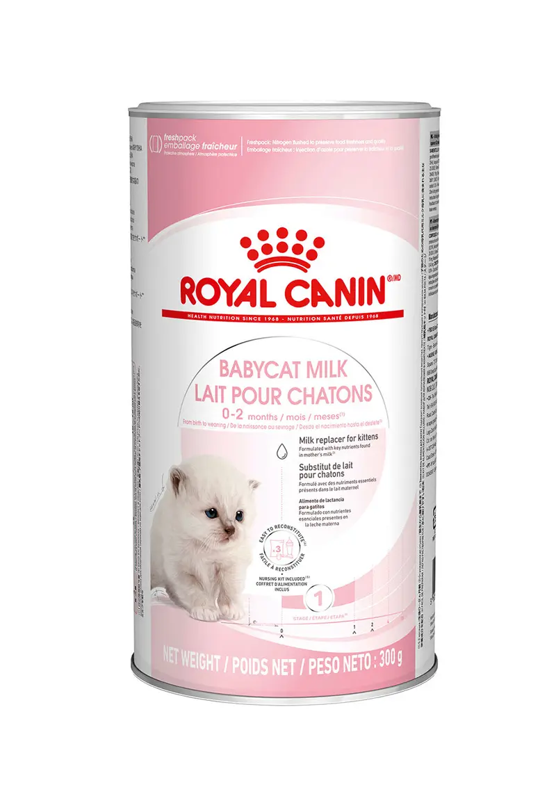 ROYAL CANIN Babycat Milk poudre de lait 300 g 