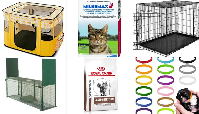 Au bonheur des chats de l'association Histoire de Chats