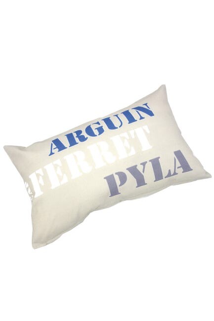 Coussin Cap Ferret, multicolore l.50 x H.30 cm | Leroy Merlin