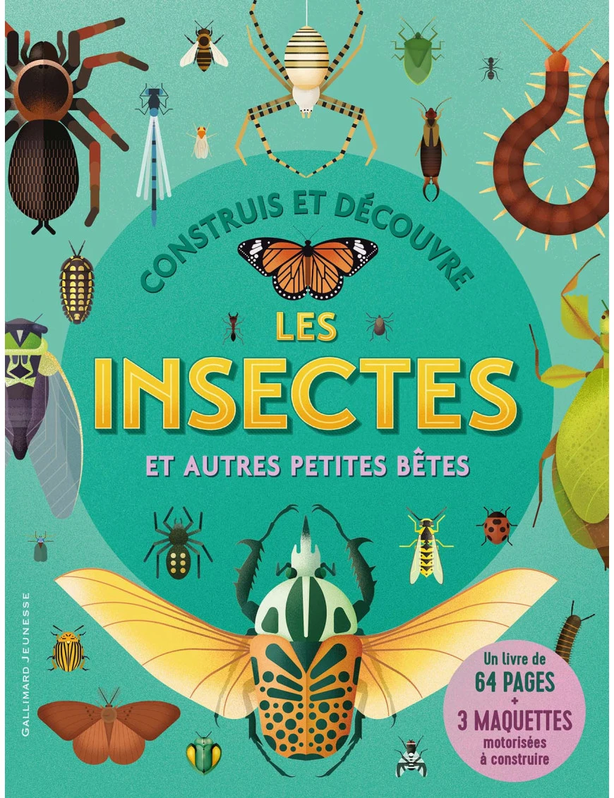Construis et découvre les insectes et autres petites bêtes