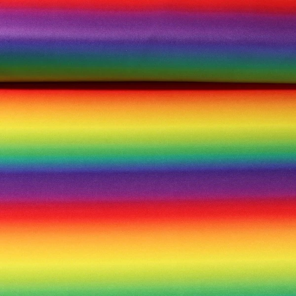 Jersey carnaval - Arc-en-ciel Multicolore