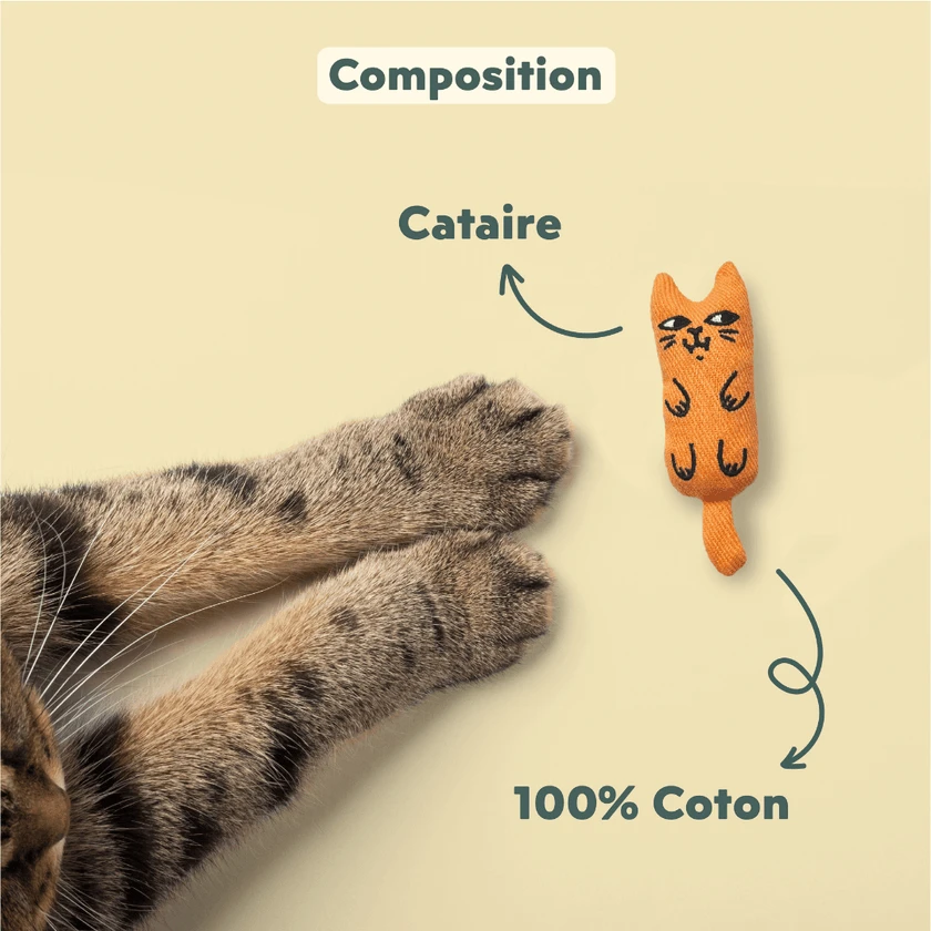 Image du produit