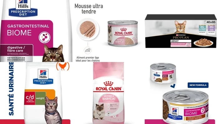 Les besoins d'Ani'Meaux