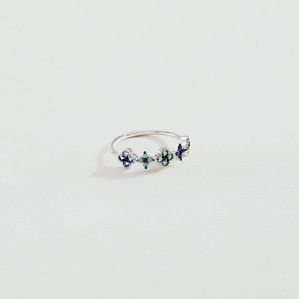 Thin ring BELOVED - Multicolor / Silver
