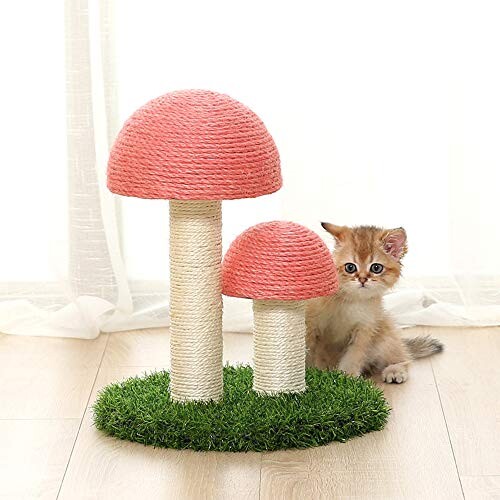 Griffoir Champignon