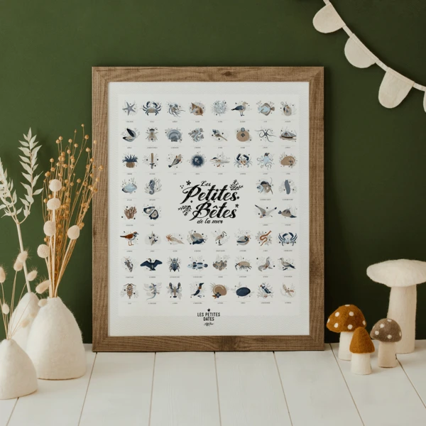 Les petites bêtes de la mer