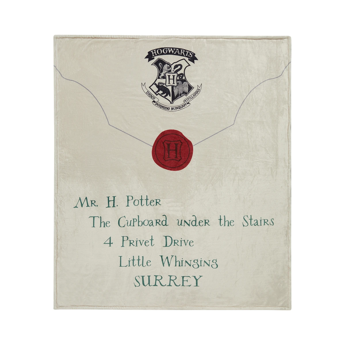 Acceptance Letter Throw Blanket