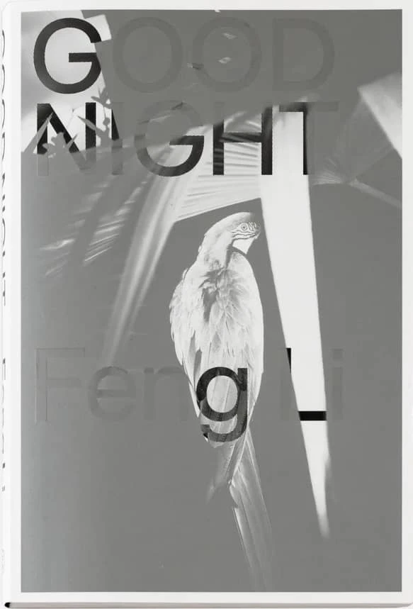 Feng Li : Good Night