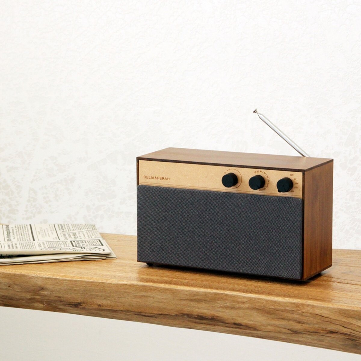 Radio enceinte en bois DIY - Les Raffineurs
