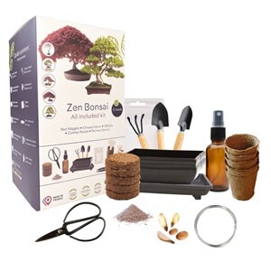 Bonsai premium - kit complet