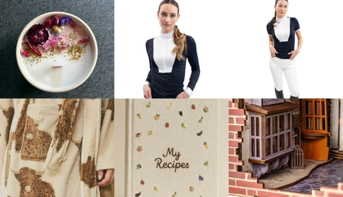 wishlist 𝒩𝑜𝑒̈𝓁