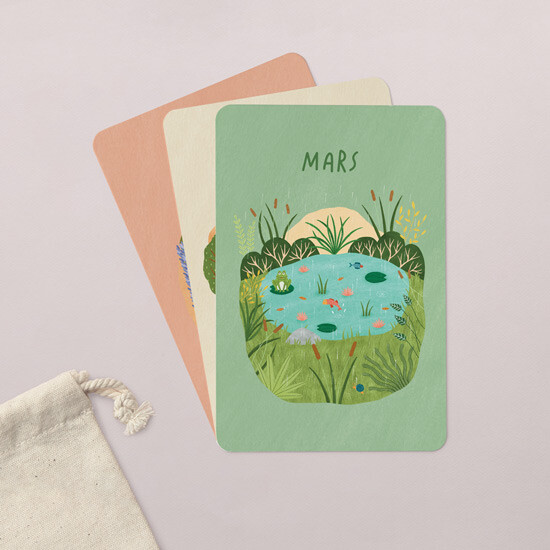 Cartes d’apprentissage Cartes saisons