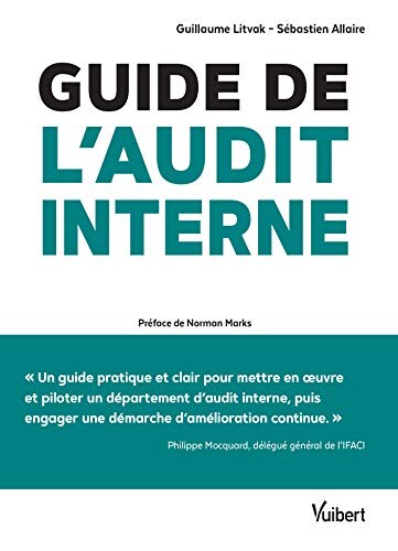 Guide de l'audit interne: Défis et enjeux - Théorie et pratique (2019)