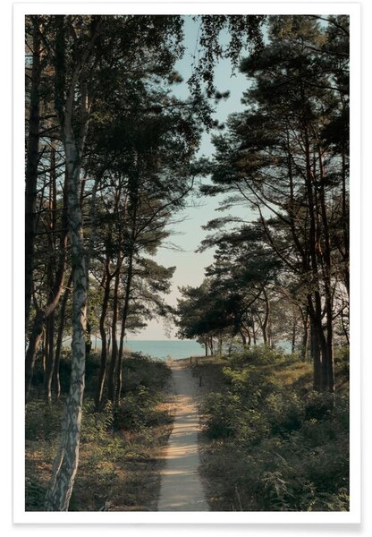 Beach Path affiche
