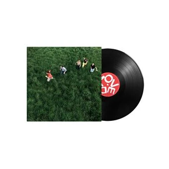 Vinyle Parcels - Loved